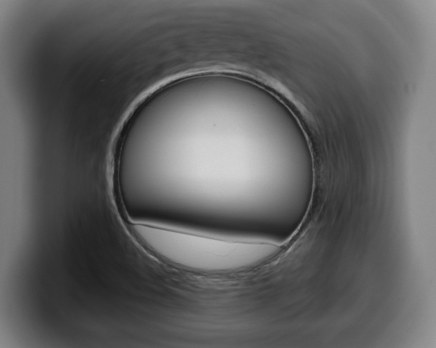 X0000099501508200805150938