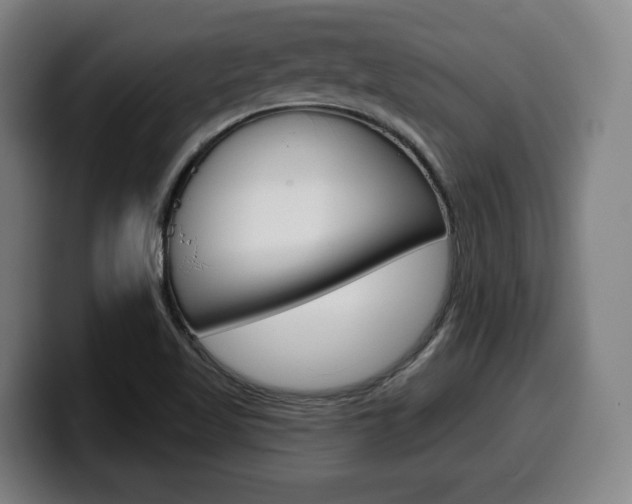 X0000099501509200805150938