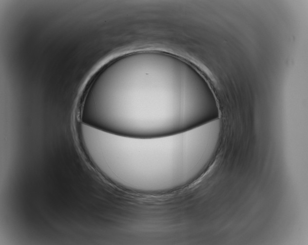 X0000099501510200805150938