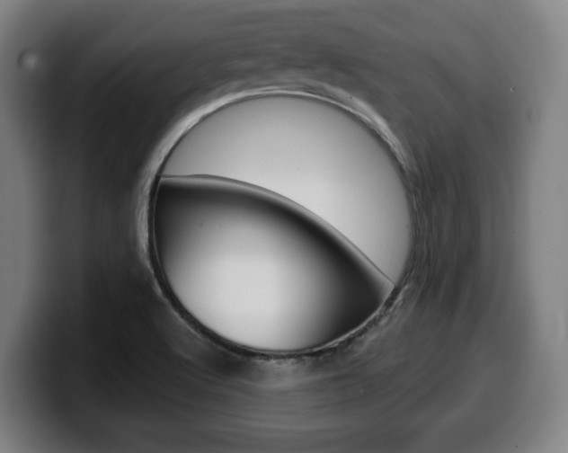 X0000099501512200805150938