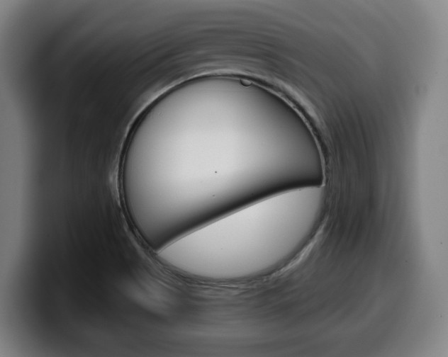 X0000099501513200805150938