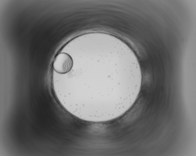 X0000099501514200805150938