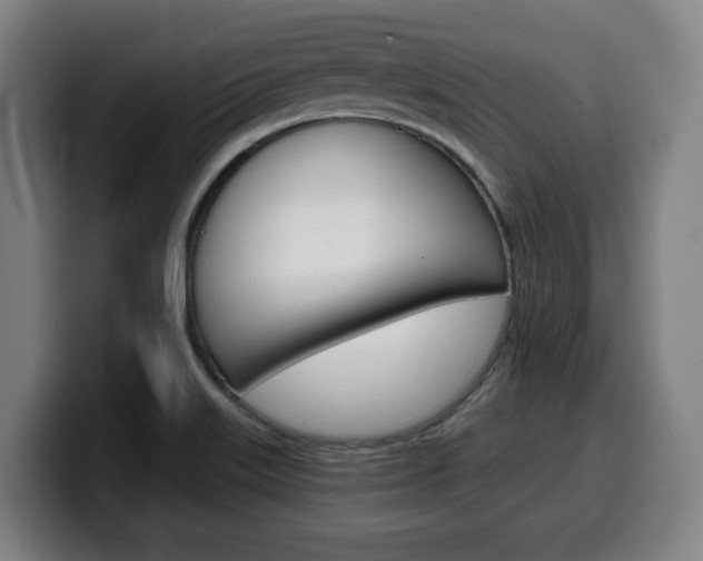 X0000099501515200805150938