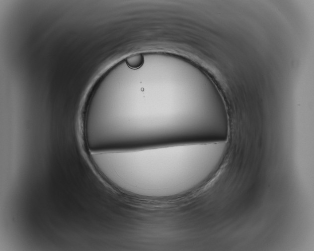X0000099501517200805150938