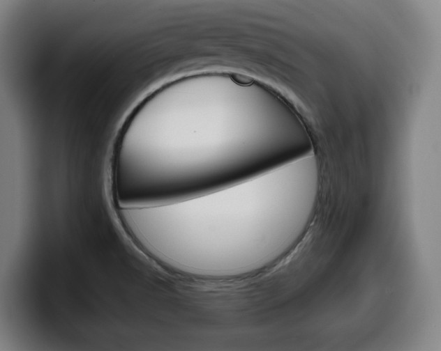 X0000099501518200805150938