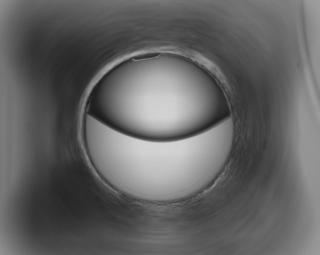 X0000099501520200805150938
