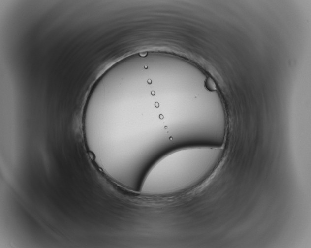 X0000099501521200805150938