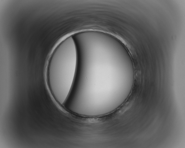 X0000099501523200805150938