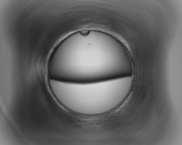 X0000099501525200805150938
