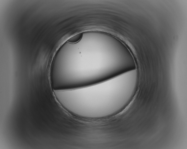 X0000099501529200805150939