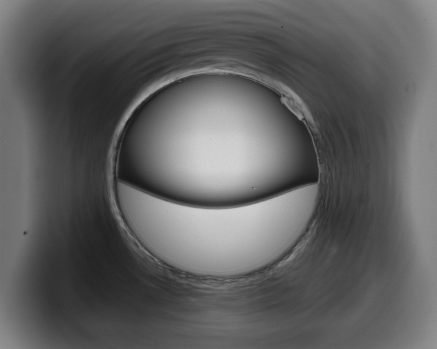 X0000099501530200805150939