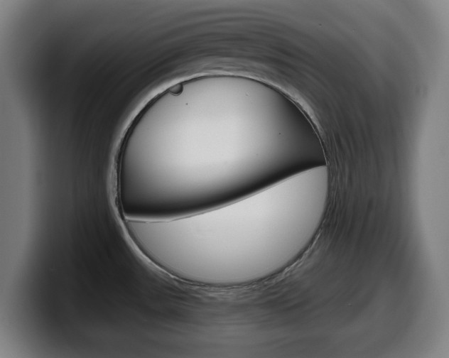 X0000099501531200805150939