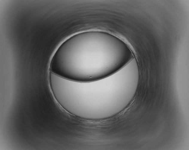 X0000099501532200805150939