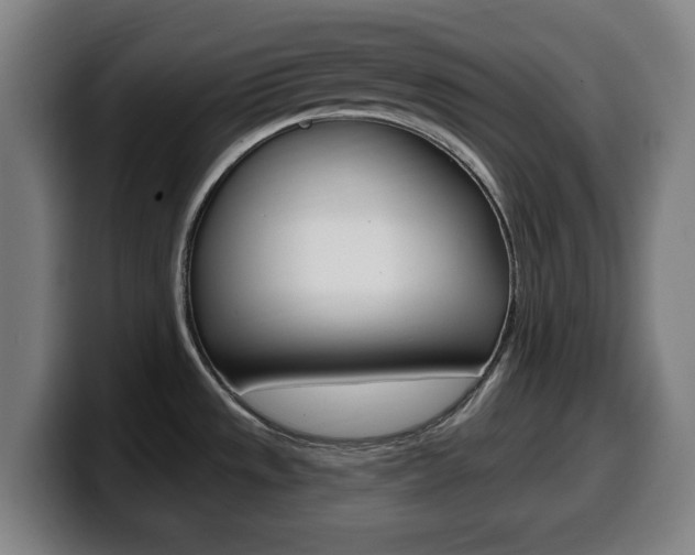 X0000099501533200805150939