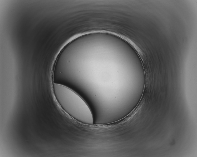 X0000099501534200805150939