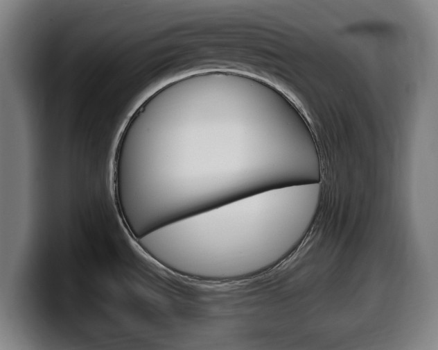 X0000099501535200805150939