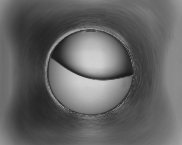 X0000099501536200805150939