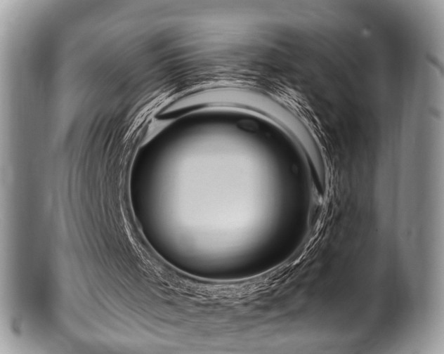 X0000099500001200805151443