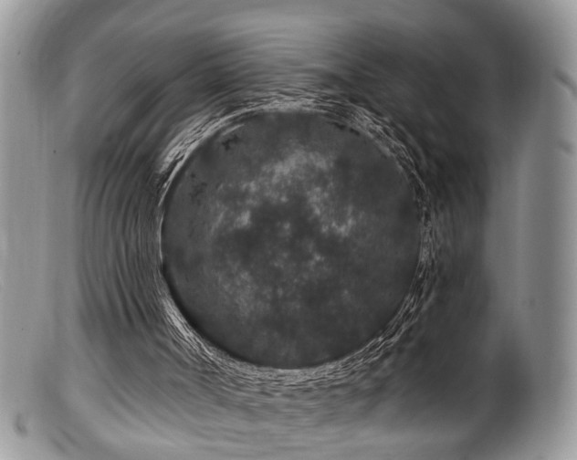 X0000099500002200805151443