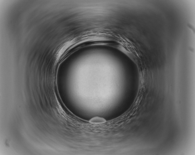 X0000099500003200805151443