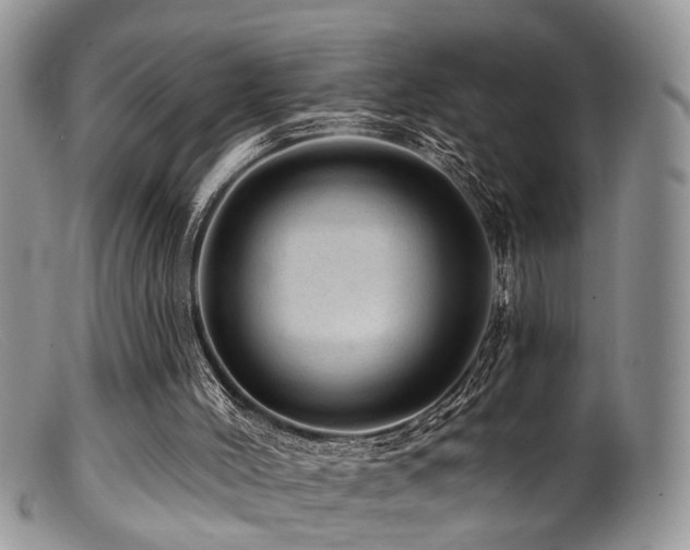 X0000099500004200805151443