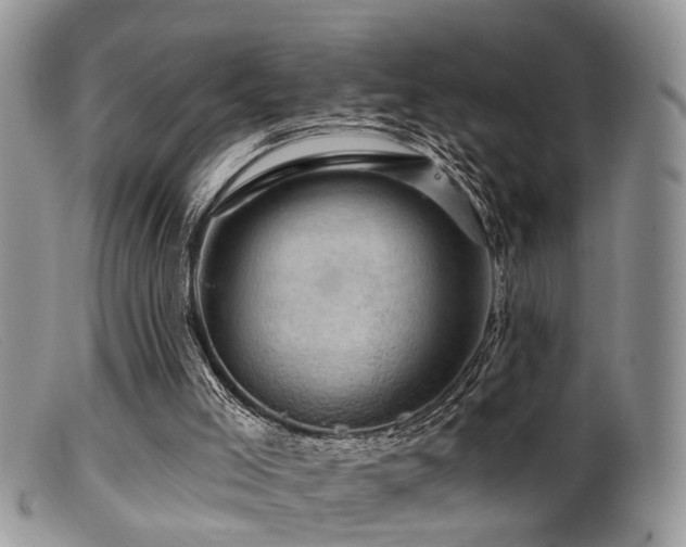 X0000099500005200805151443