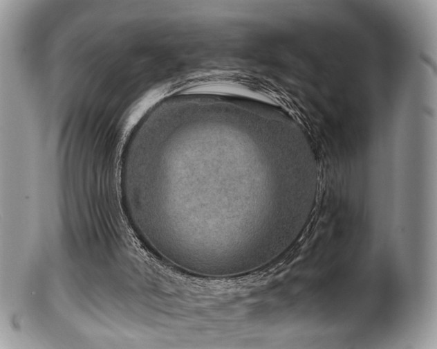X0000099500006200805151443