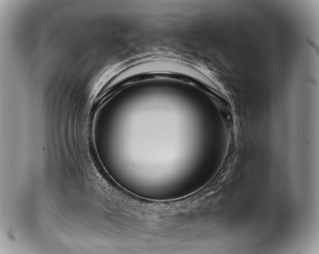 X0000099500007200805151443