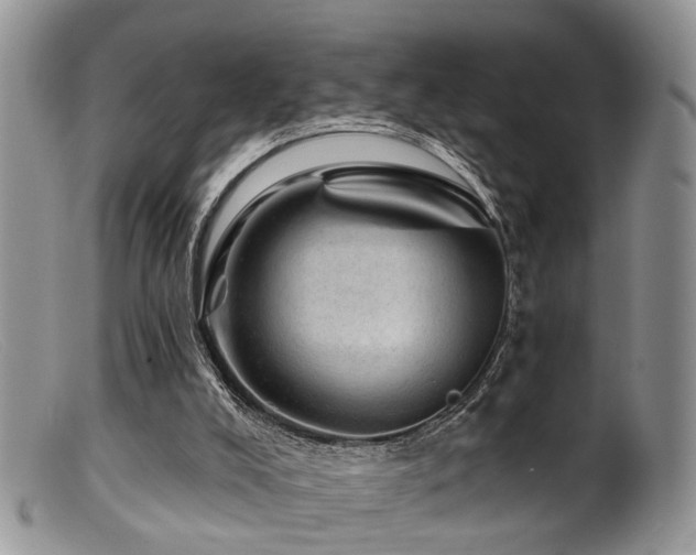 X0000099500008200805151443
