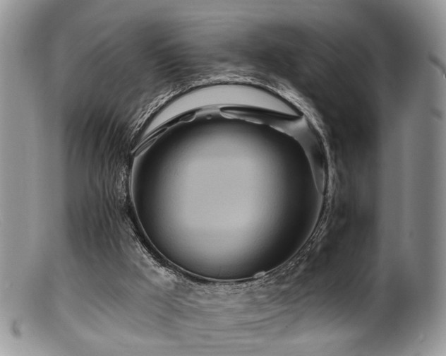 X0000099500009200805151443