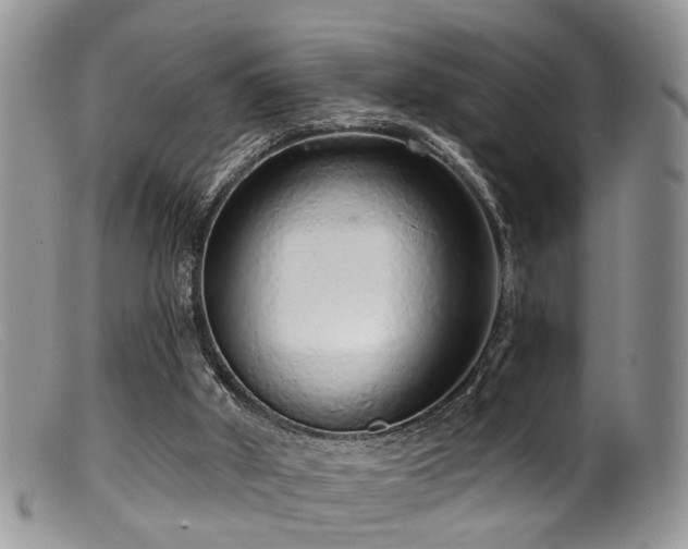 X0000099500010200805151443