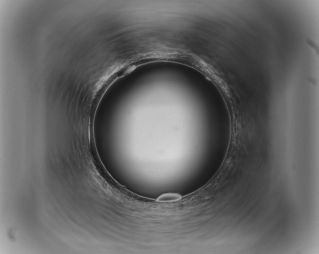 X0000099500011200805151443