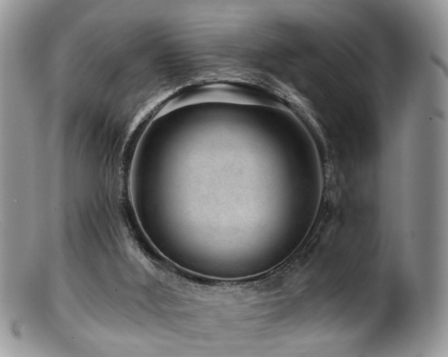 X0000099500012200805151443