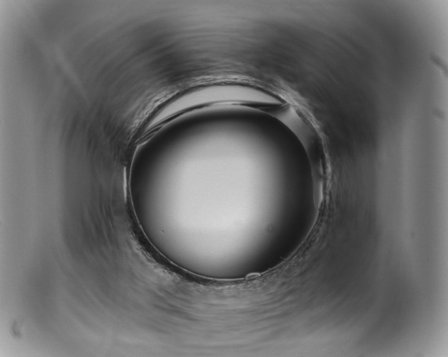 X0000099500013200805151443