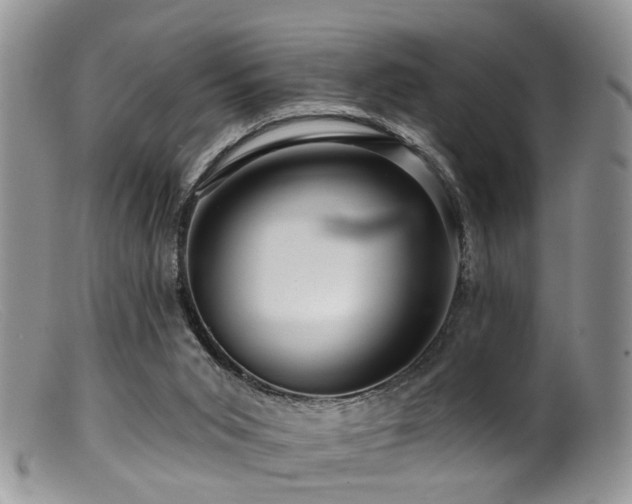 X0000099500015200805151443