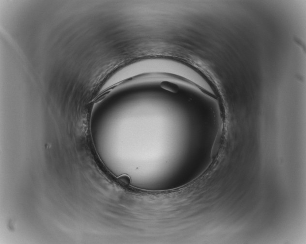 X0000099500017200805151442