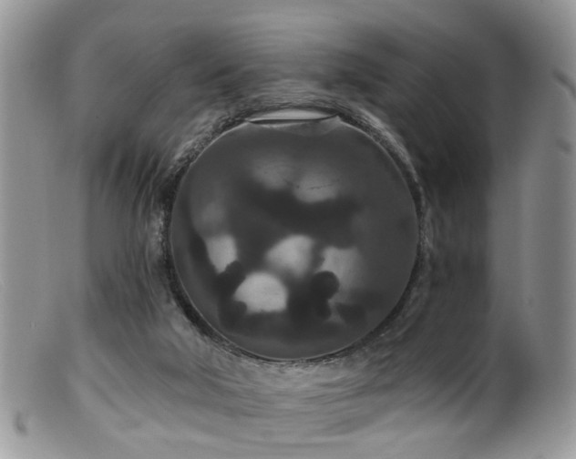 X0000099500018200805151442