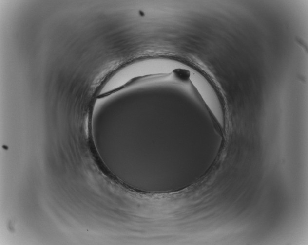 X0000099500019200805151442