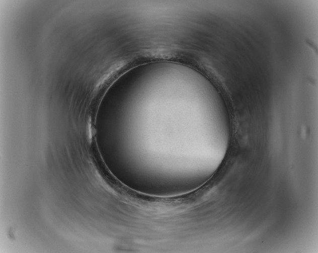 X0000099500020200805151442