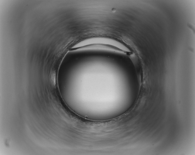 X0000099500021200805151442