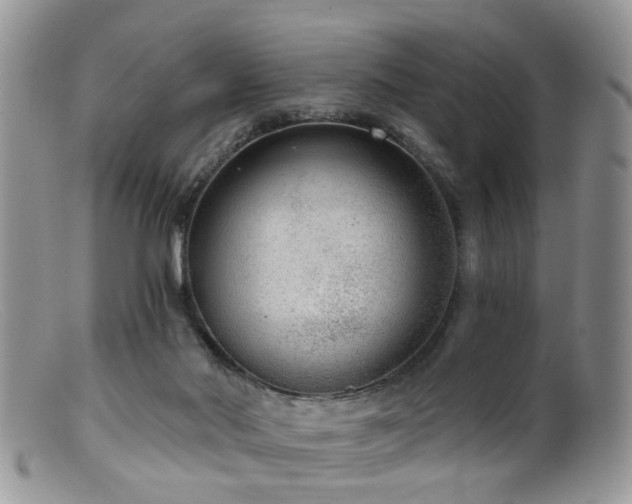 X0000099500022200805151442