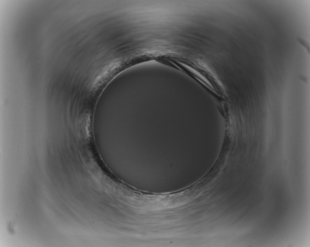 X0000099500023200805151442