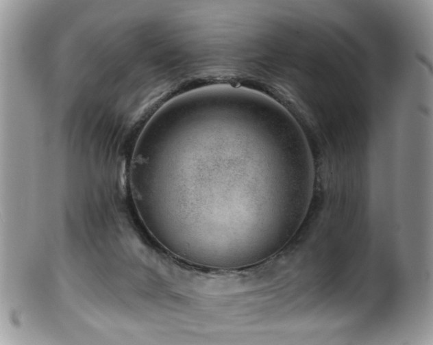 X0000099500024200805151442