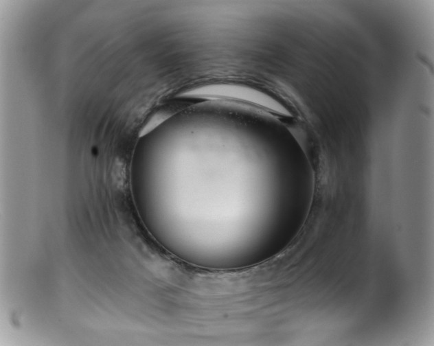 X0000099500025200805151442