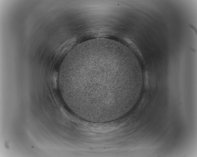 X0000099500026200805151442