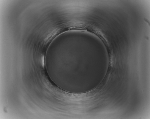 X0000099500027200805151442