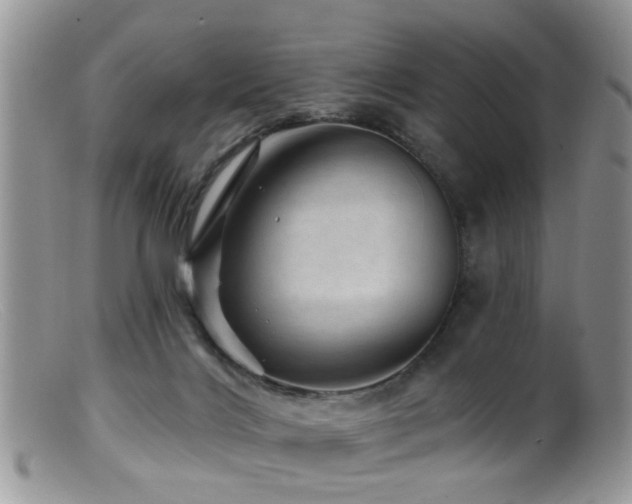 X0000099500028200805151442