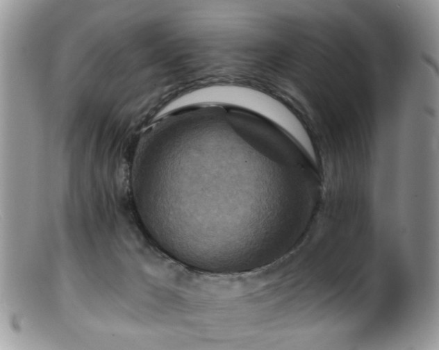 X0000099500029200805151442