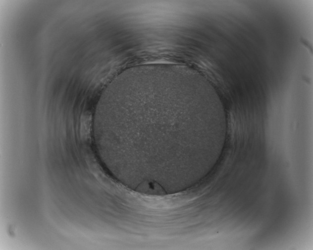 X0000099500030200805151442