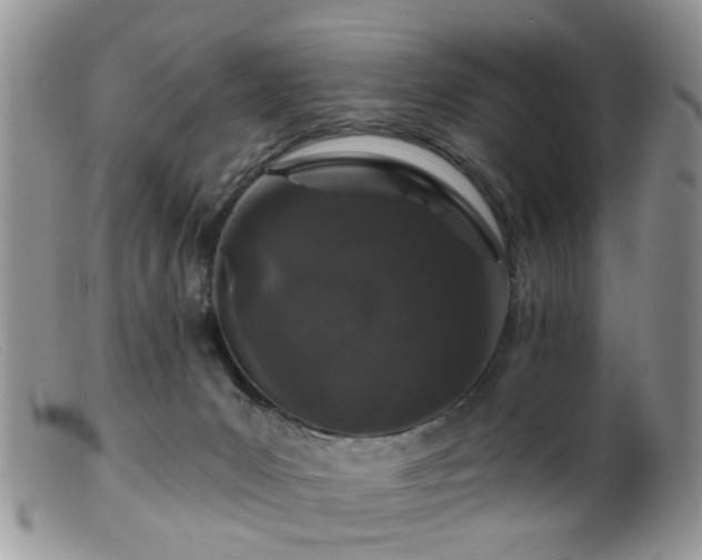 X0000099500031200805151442
